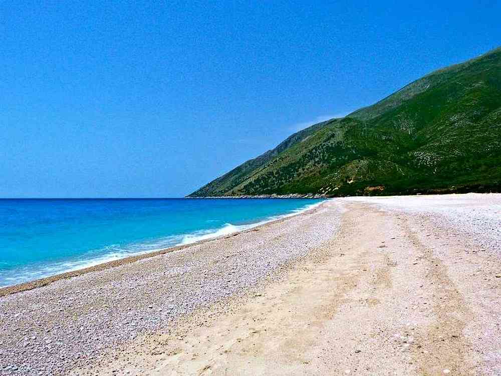 Palasa